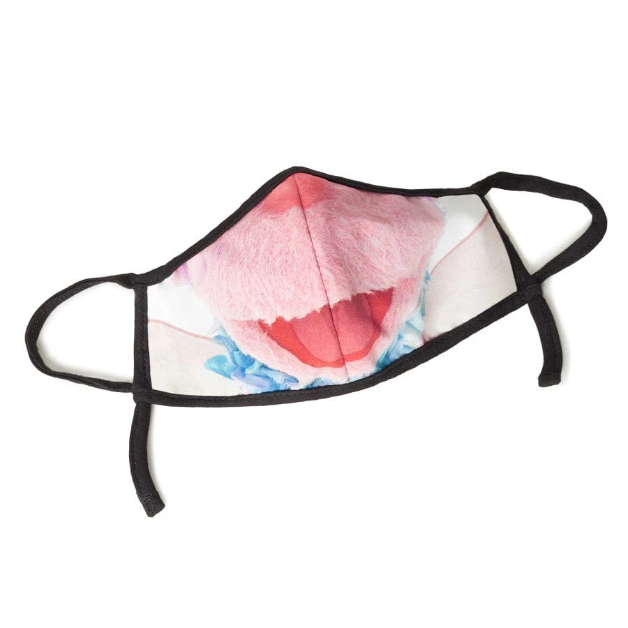 Sesame Street Abby Cadabby Child Face Mask