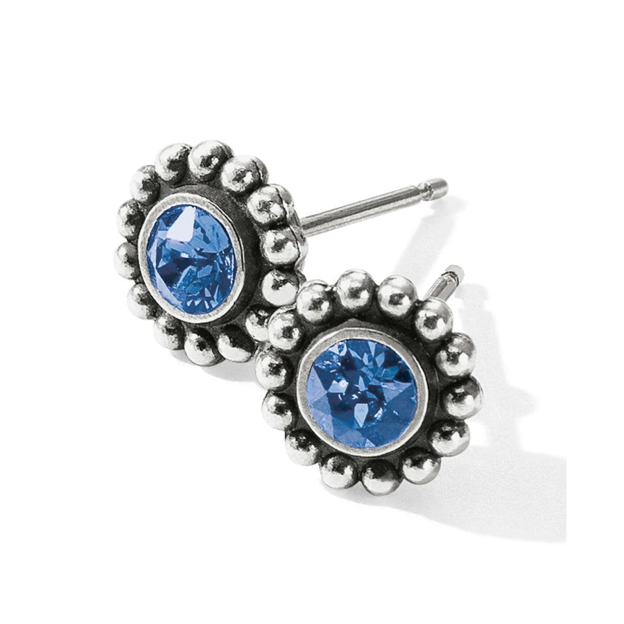 Twinkle Mini Post Earrings - Image 10