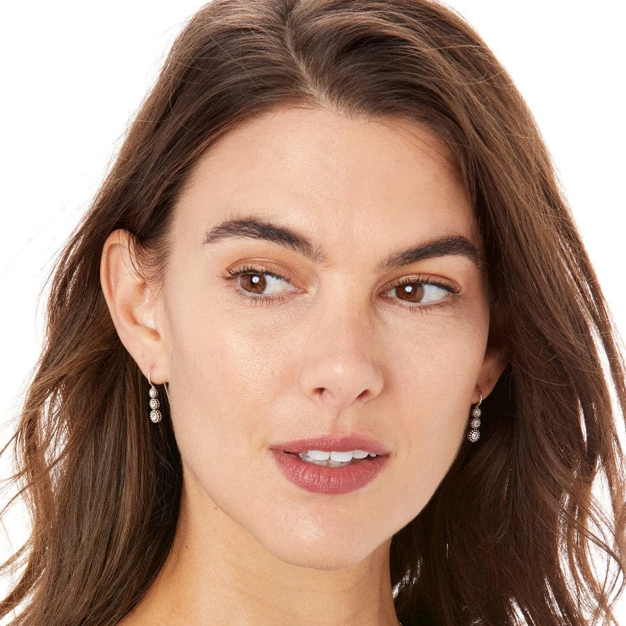 Twinkle Splendor French Wire Earrings - Image 3